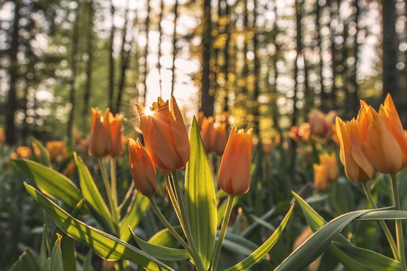 Magni ipsa architecto dicta