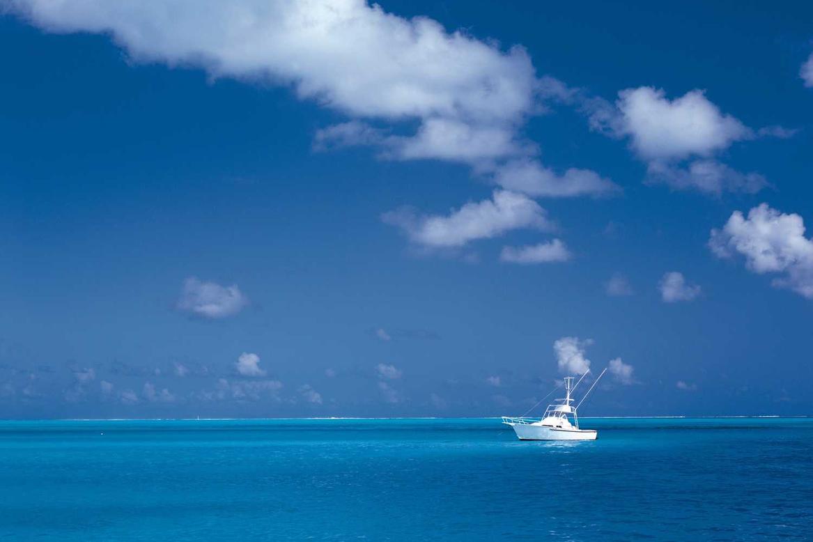 Et beatae nesciunt dolorem et recusandae sed earum ipsam